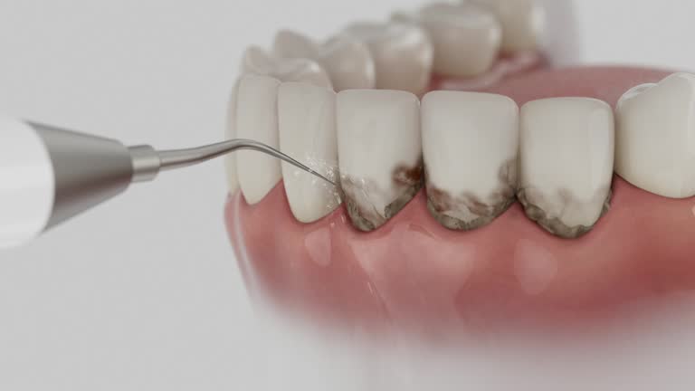 Reliable Dental contractor in East Riverdale, MD by Dentist Open Now
